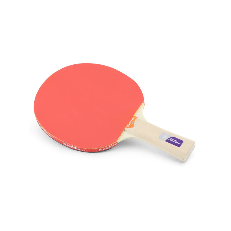 Table tennis rack Guard Pro P40+