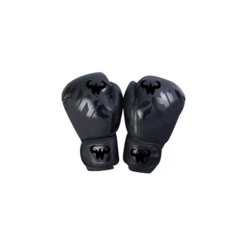 Boxnings handskar Naturläder Ciclon - Nordic Sport